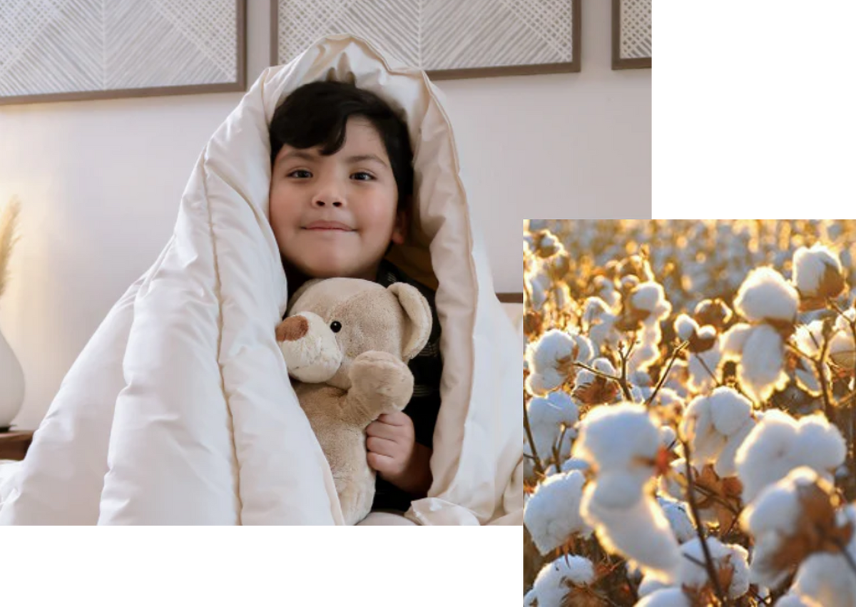 Organic Cotton